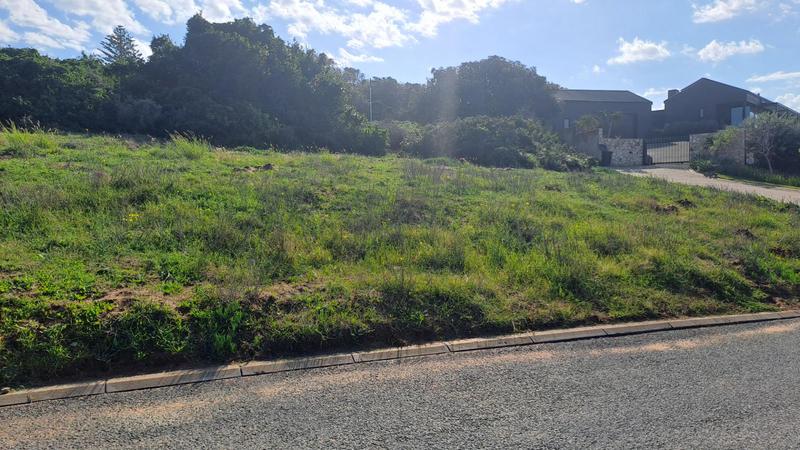 0 Bedroom Property for Sale in Stilbaai Wes Western Cape